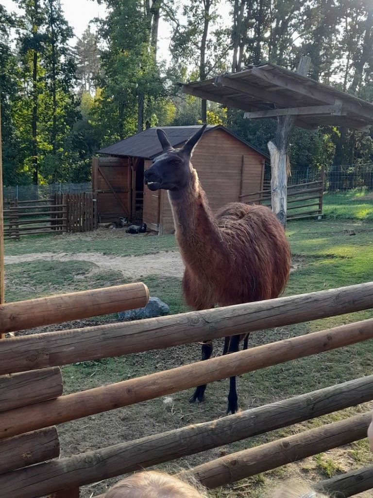 Návštěva ZOO Tábor – Větrovy